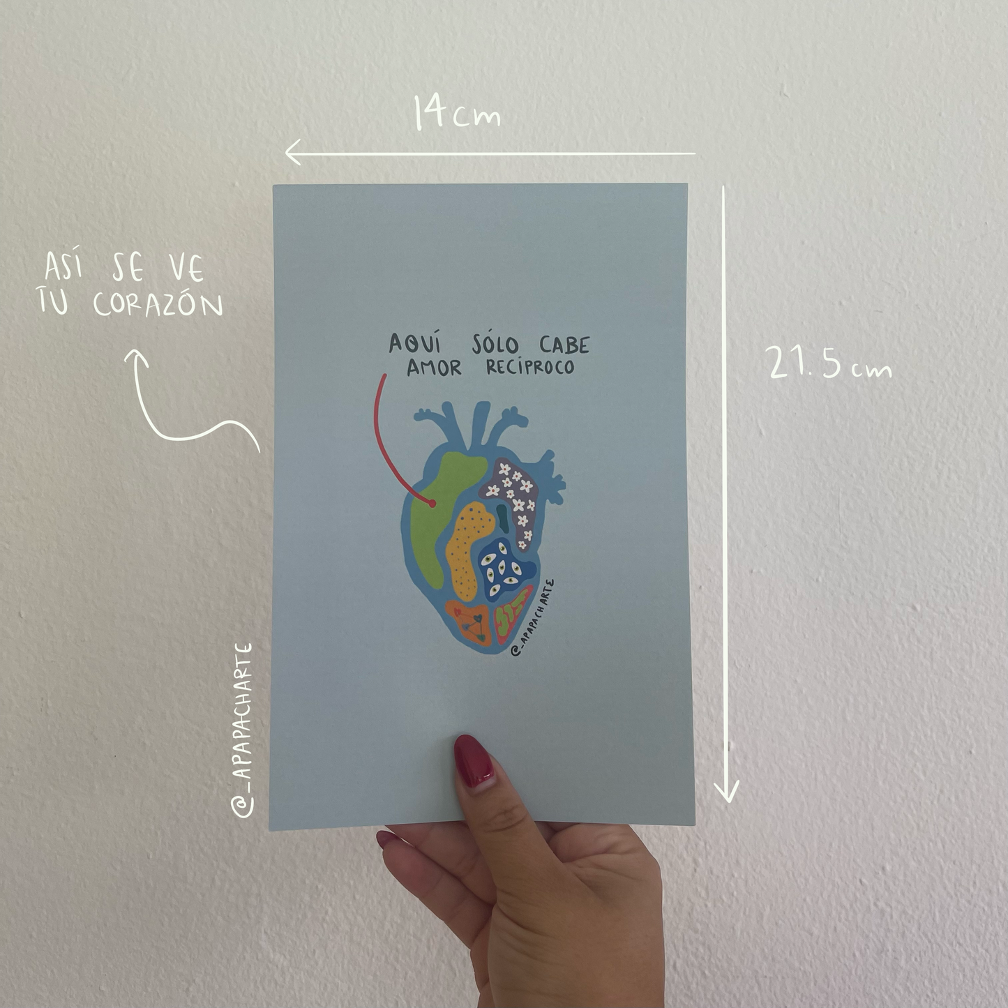 Ilustración-Reciprocidad